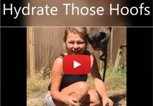 Cavallo Hydrate Video