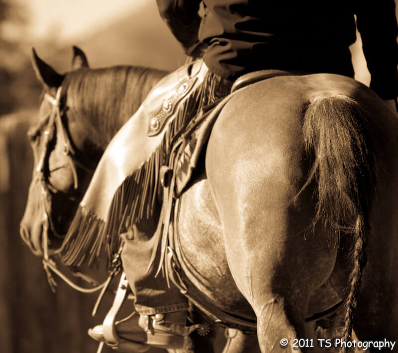 dark horse achieving success through the pursuit of fulfillment dark horse achieving success through the pursuit of fulfillment