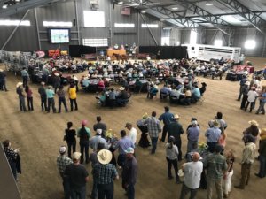 September 7 and 8th of 2018, The League of Legends Invitational Horse Sale hosted by Turner Performance Horses held their 2nd annual select sale.