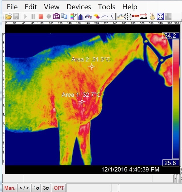 Equine Thermal Imaging Teletherm Tiger4 Cub