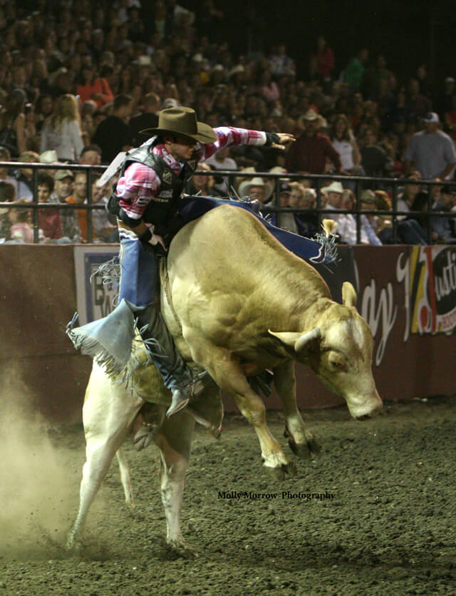 Ellensburg hosts Xtreme Bulls Finale The Northwest Horse Source