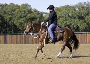 Horseman Clinton Anderson explains From Colt Starting to Well-Trained Horse
