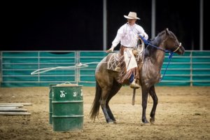 The Northwest Horse Fair and Expo will celebrate its Twentieth Anniversary