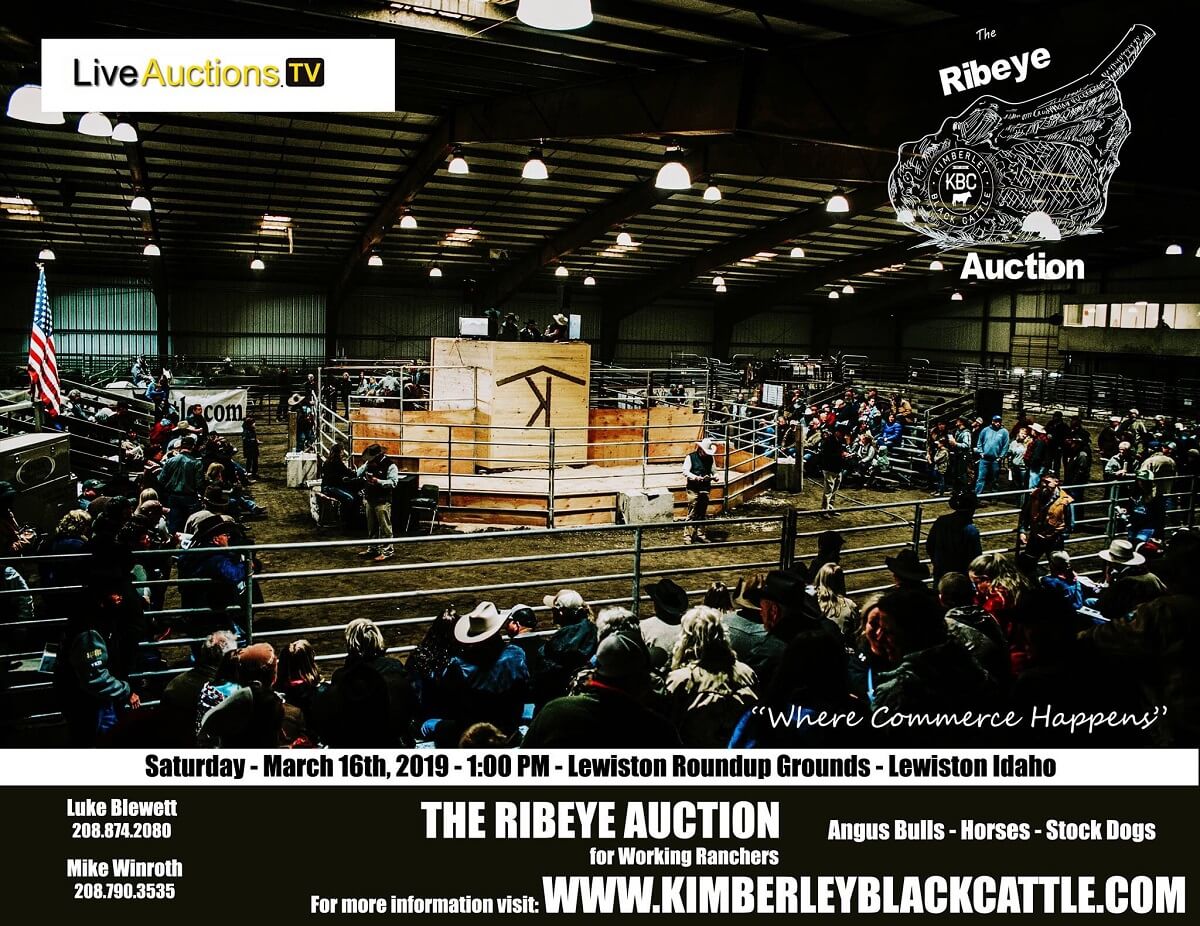 Ribeye Auction