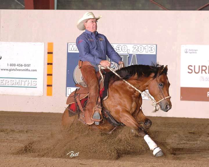 Les Vogt Pict Idaho Horse Expo - The Northwest Horse Source