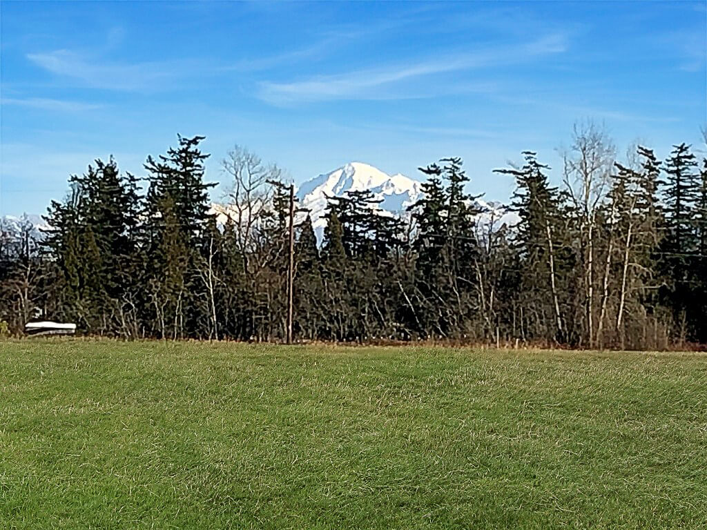 Brandi Coplen 0 Barr Rd. Ferndale