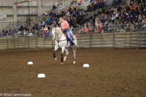 Northwest Horse Fair 2019