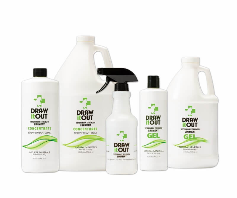 DiO Introduces All-Natural Horse Liniment To Relieve Swelling And Soreness