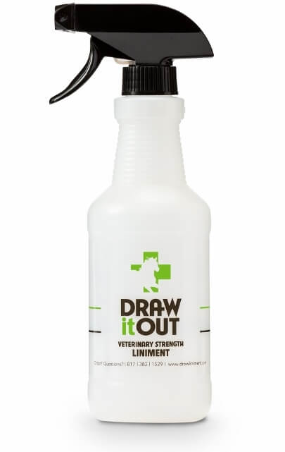 DiO Introduces All-Natural Horse Liniment To Relieve Swelling And Soreness