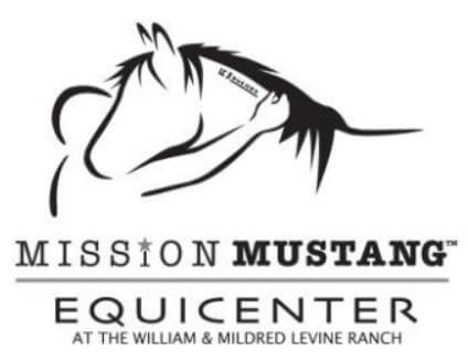 National Pilot Program Connects Wild Mustangs and Veterans