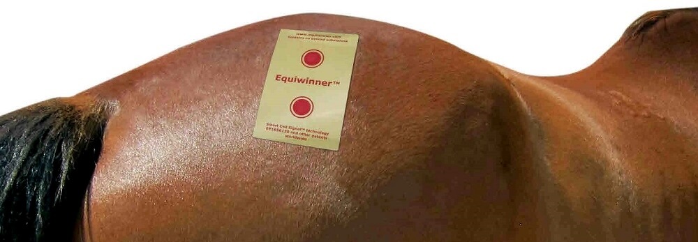 Equiwinner