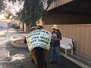 Horse on Cross Country Trek Stops at UC Davis for Care