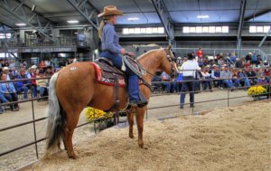League of Legends Invitational Horse and Stock Dog Sale