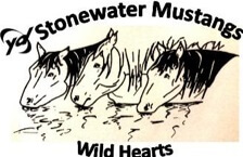 Stonewater Ranch: Mustangs Dally and Jackson Settle in at Stonewater
