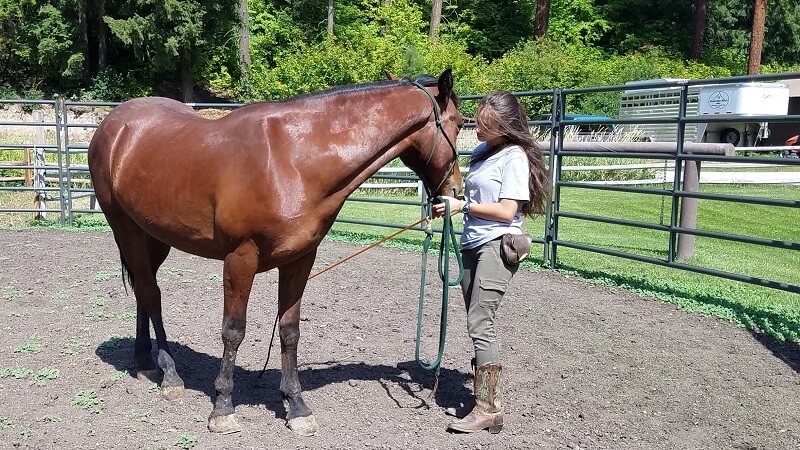 Stonewater Ranch: The Season Winds Down