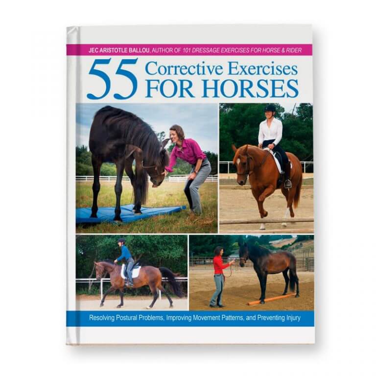 Media Barn: 55 Corrective Exercises for Horses