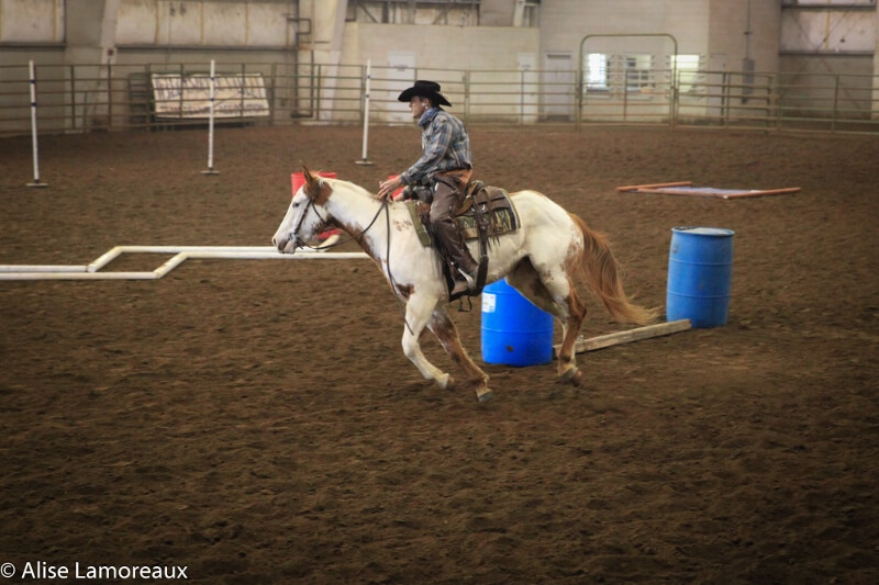 Northwest Horse Fair and Expo 2020