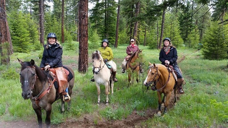 WA State Horse Park Helps Horse and Human Wellness