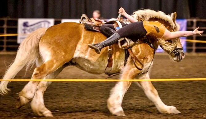 Celebrating our 10th Annual Washington State Horse Expo at the Clark