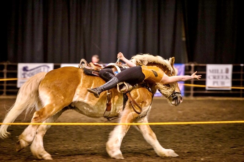 February 2020 Cover Story: The 10th Annual Washington State Horse Expo