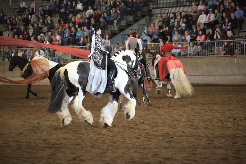 New & Noteworthy: Northwest Horse Fair & Expo 2020 An Equine Extravaganza!