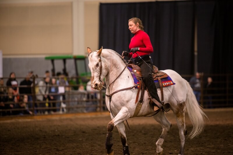 February 2020 Cover Story: The 10th Annual Washington State Horse Expo