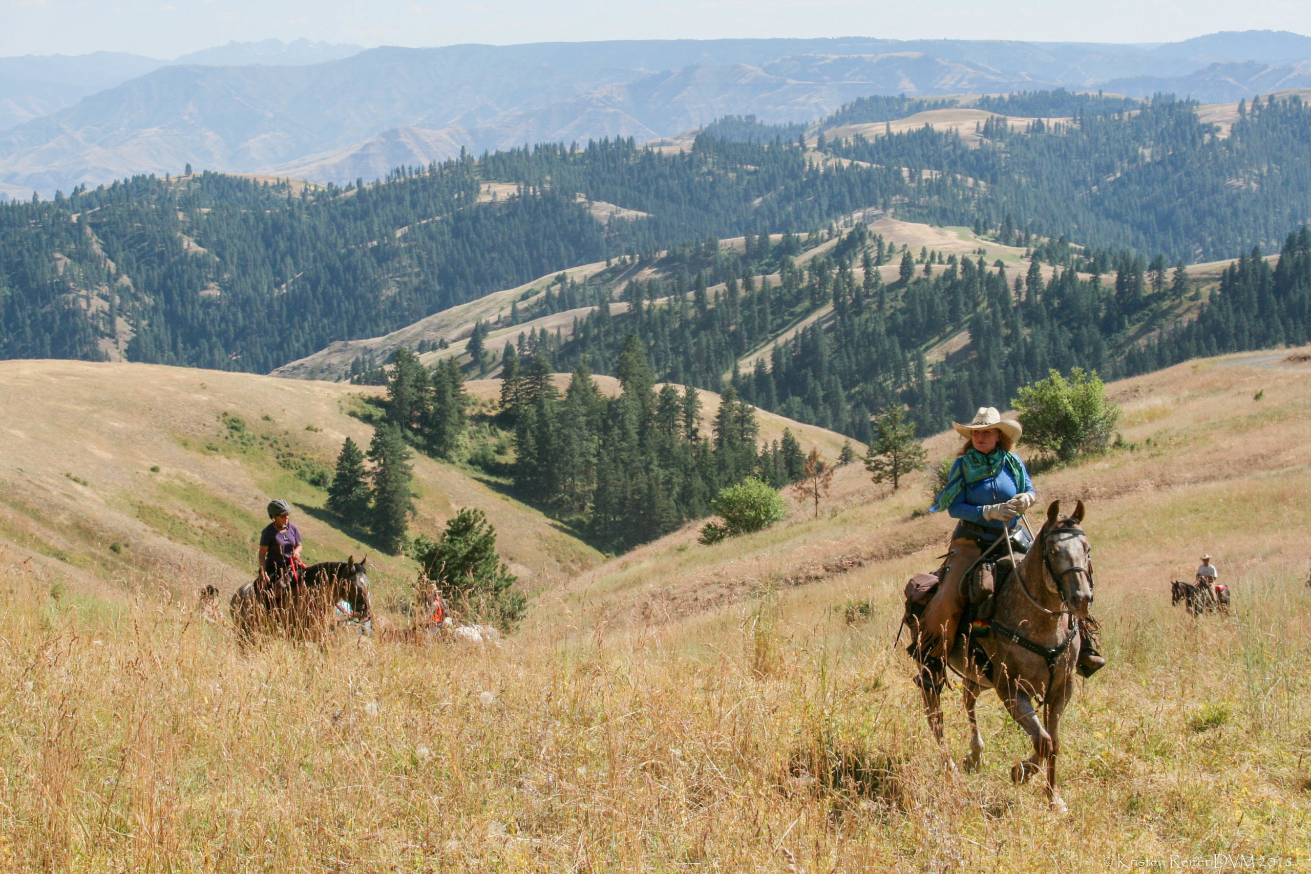 The Chief Joseph Trail Ride