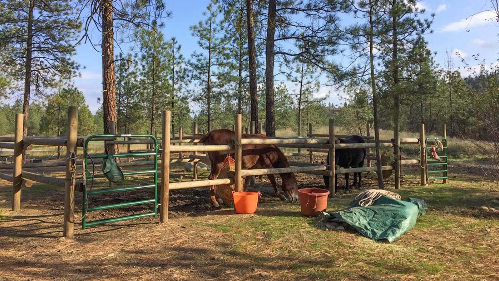 Horse Camping In Colorado