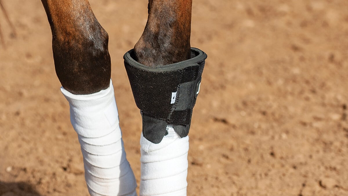 knee boot