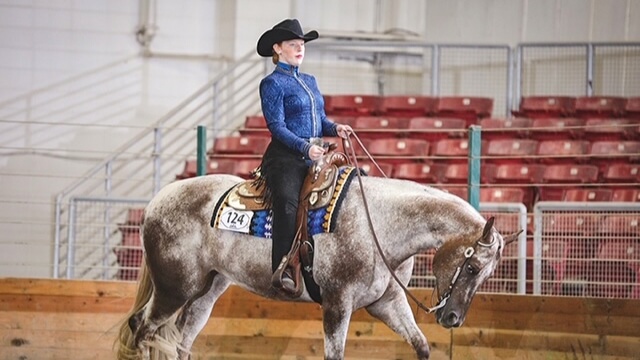 The Appaloosa Horse Breed - Young Rider magazine