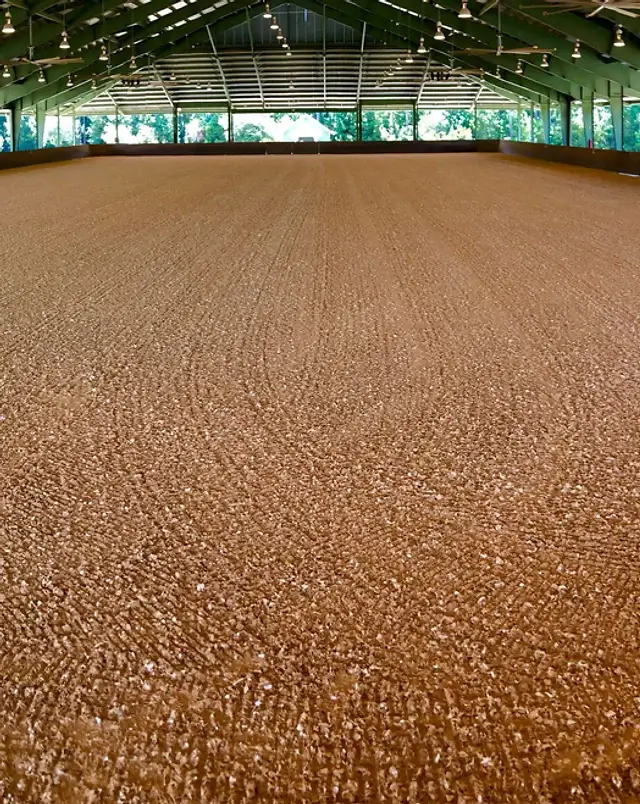 GGT Footing Devonwood Equestrian centre