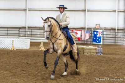 The Cross-National Working Equitation Camp & Cup