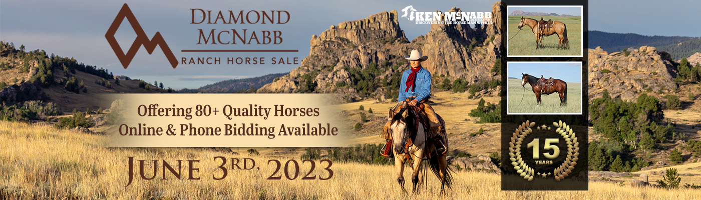 DM_Sale_NW Horse Source_Web Banner_1400x400