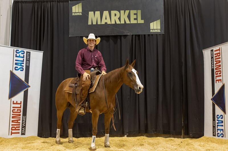 Horse Sale