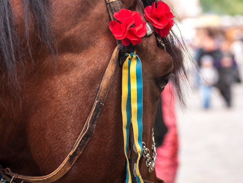 Ukraine
