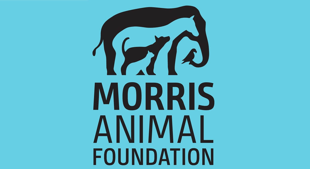 Morris Animal Foundation