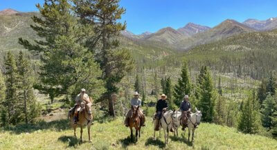 Rules of Trail Riding