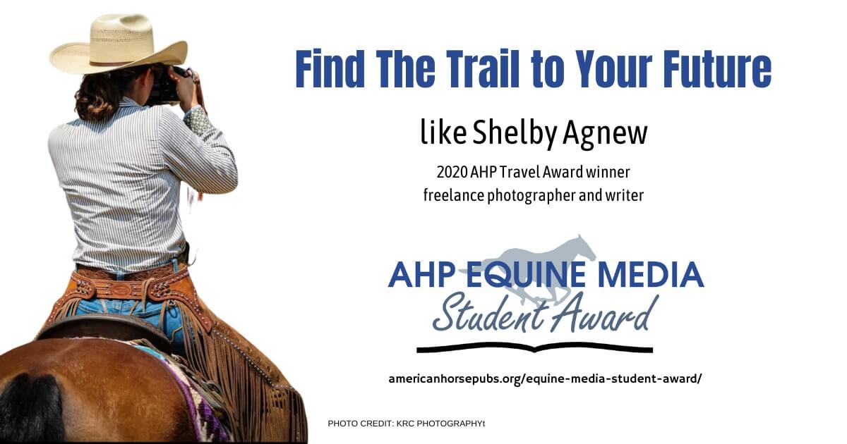 Equine Media