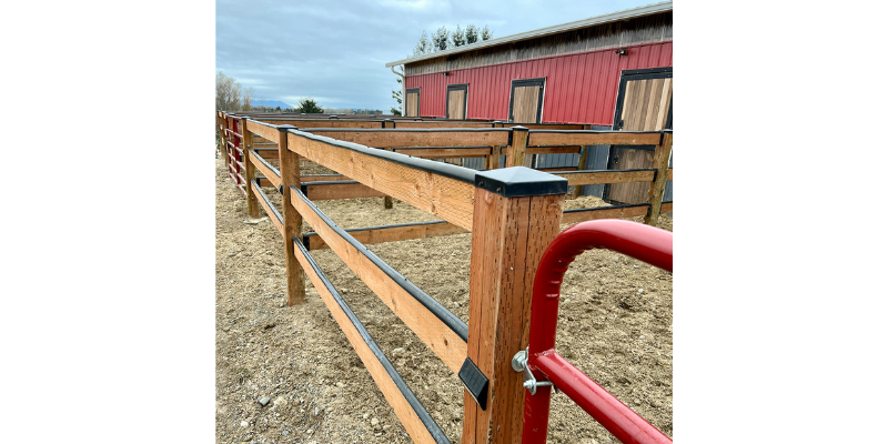 Barn Thoughts
