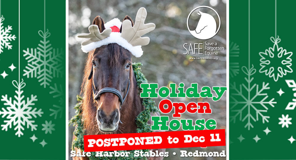 SAFE Holiday Open House
