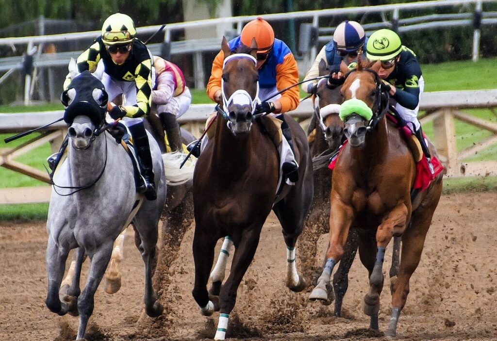 Tragic news from Churchill Downs More horses euthanized Saturday